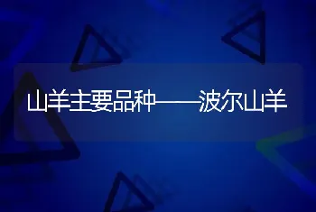 山羊主要品种――波尔山羊