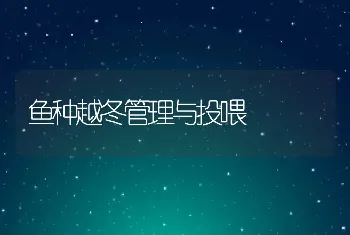 鱼种越冬管理与投喂