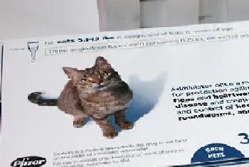 猫咪驱虫能用大宠爱吗?合适给猫咪用吗?