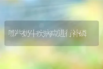 哪些奶牛疾病应进行补磷