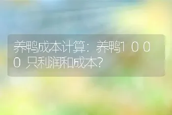 养鸭成本计算：养鸭1000只利润和成本？