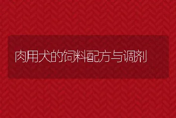 肉用犬的饲料配方与调剂