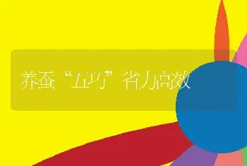 养蚕“五巧”省力高效