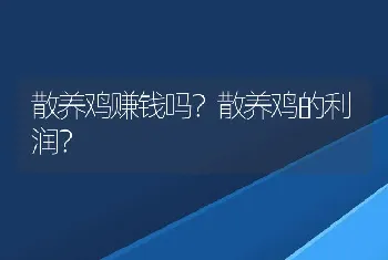 散养鸡赚钱吗？散养鸡的利润？