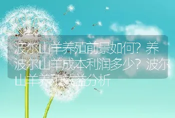 波尔山羊养殖前景如何？养波尔山羊成本利润多少？波尔山羊养殖效益分析