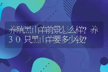 养殖黑山羊前景怎么样？养30只黑山羊要多少钱？