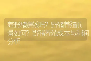 养野猪赚钱吗？野猪养殖前景如何？野猪养殖成本与利润分析