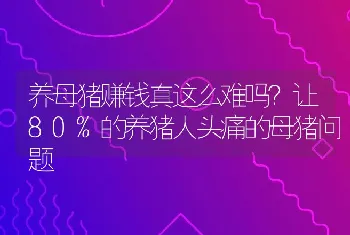 养母猪赚钱真这么难吗？让80%的养猪人头痛的母猪问题