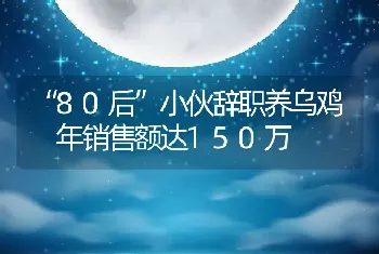 “80后”小伙辞职养乌鸡 年销售额达150万