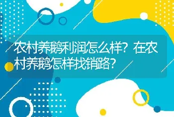 农村养鹅利润怎么样？在农村养鹅怎样找销路？