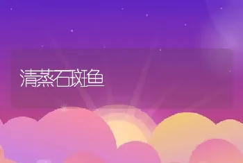 清蒸石斑鱼