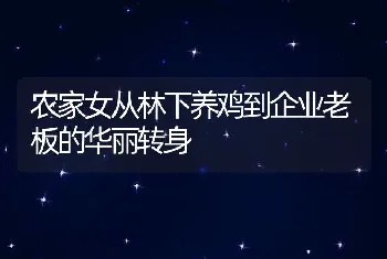 农家女从林下养鸡到企业老板的华丽转身