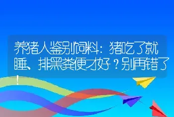 养猪人鉴别饲料：猪吃了就睡、排黑粪便才好？别再错了！