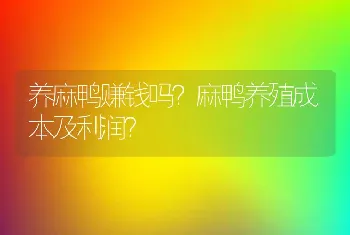 养麻鸭赚钱吗？麻鸭养殖成本及利润？