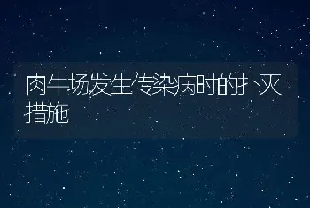 肉牛场发生传染病时的扑灭措施