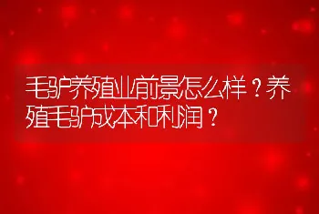 毛驴养殖业前景怎么样？养殖毛驴成本和利润？