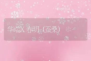 华瑞X春明（蚕桑）