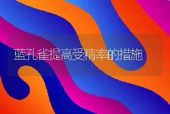 蓝孔雀提高受精率的措施