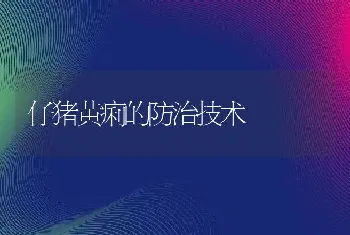 仔猪黄痢的防治技术