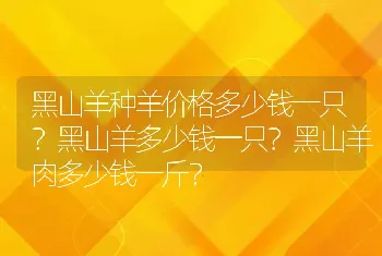 黑山羊种羊价格多少钱一只？黑山羊多少钱一只？黑山羊肉多少钱一斤？