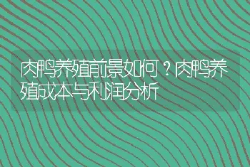 肉鸭养殖前景如何？肉鸭养殖成本与利润分析