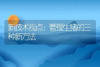 新技术视点：管理生猪的三种新方法