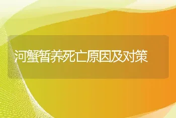 河蟹暂养死亡原因及对策