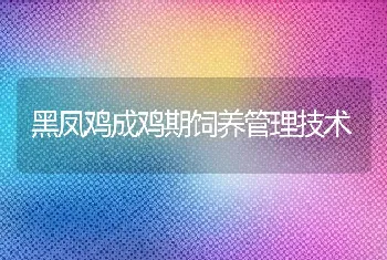 小体积高密度网箱养殖草鱼