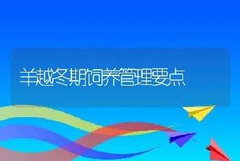 羊越冬期饲养管理要点