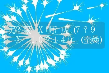 苏?菊 X明?虎（7?9 X 10?14）（蚕桑）