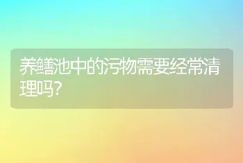 养鳝池中的污物需要经常清理吗？