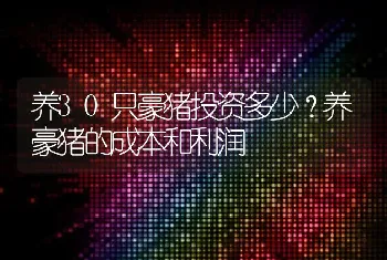 养30只豪猪投资多少？养豪猪的成本和利润