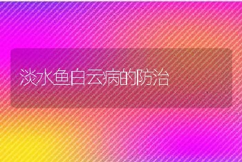 淡水鱼白云病的防治