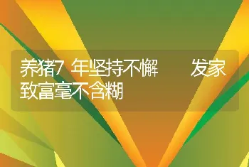 养猪7年坚持不懈  发家致富毫不含糊