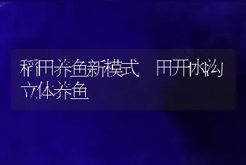 稻田养鱼新模式―田开凼沟立体养鱼