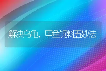 解决乌龟、甲鱼饲料五妙法