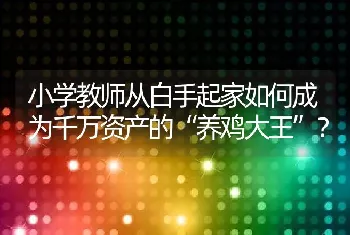 小学教师从白手起家如何成为千万资产的“养鸡大王”？