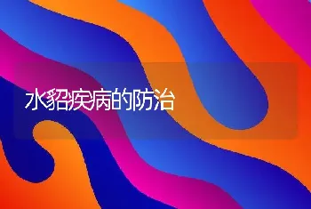 对仔猪健康有益的五种添加剂