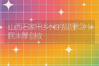 山西石家田乡村的狐狸给村民丰厚创收