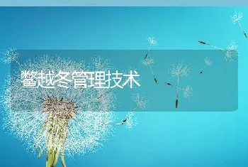 鳖越冬管理技术