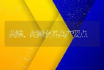 黄鳝、泥鳅套养高产要点