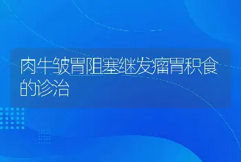 肉牛皱胃阻塞继发瘤胃积食的诊治