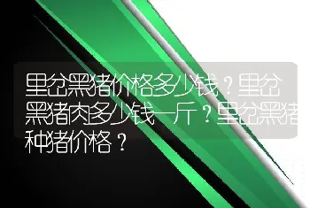 里岔黑猪价格多少钱？里岔黑猪肉多少钱一斤？里岔黑猪种猪价格？