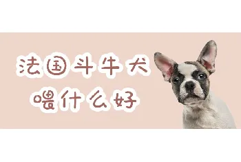 法国斗牛犬喂什么好