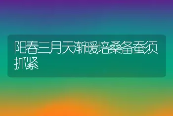 阳春三月天渐暖培桑备蚕须抓紧