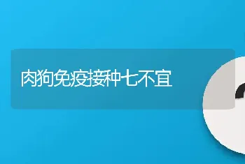 肉狗免疫接种七不宜