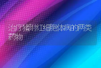 母犬分娩前的预兆和变化