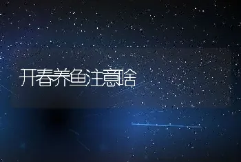 开春养鱼注意啥