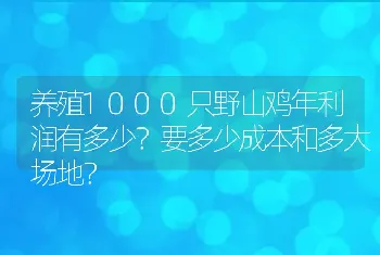 养殖1000只野山鸡年利润有多少？要多少成本和多大场地？