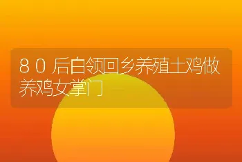 80后白领回乡养殖土鸡做养鸡女掌门